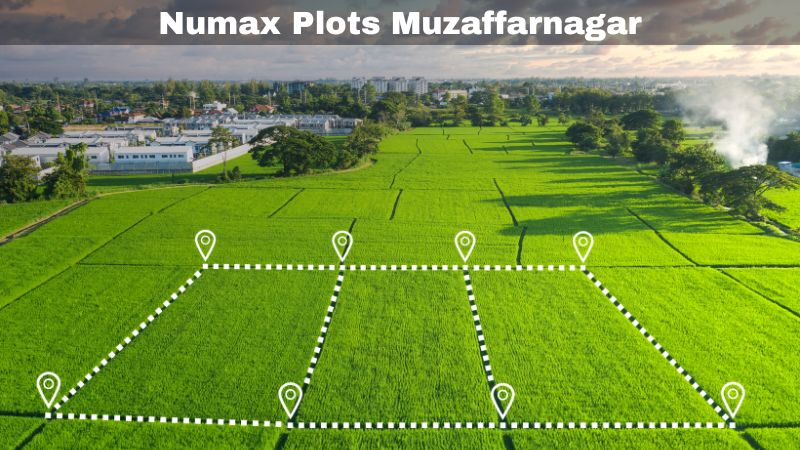 Numax Plots Muzaffarnagar